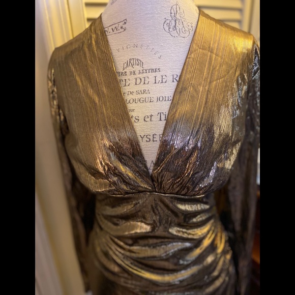 Gold Costume Dress - Picture 5 of 6